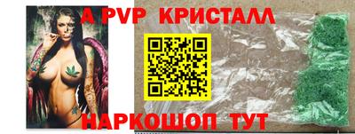 индика Ставрополь