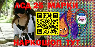 индика Ставрополь