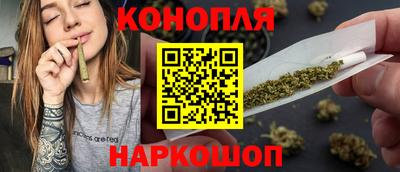 индика Ставрополь