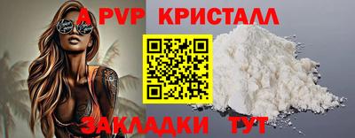 индика Ставрополь