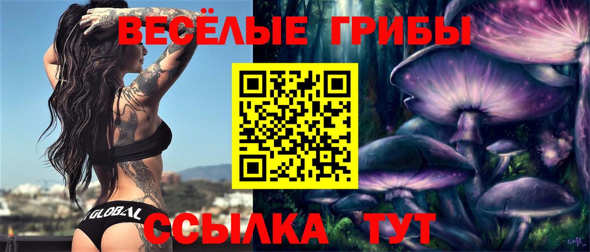 Псилоцибиновые грибы GOLDEN TEACHER Сочи