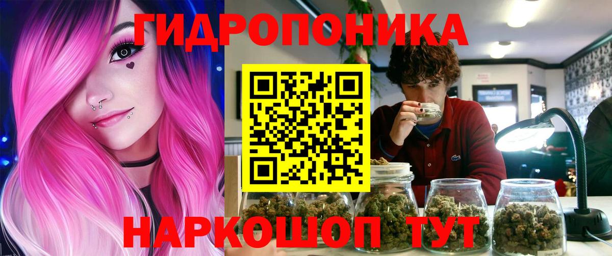 Каннабис SATIVA & INDICA Сочи